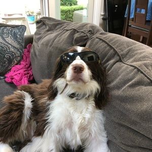 Meet your Posher, John